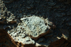 DSC_0420.JPG