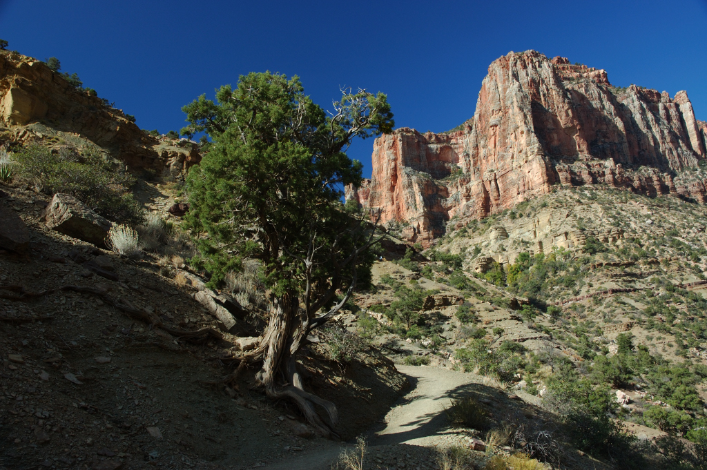 DSC_0422.JPG