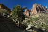 DSC_0422.JPG