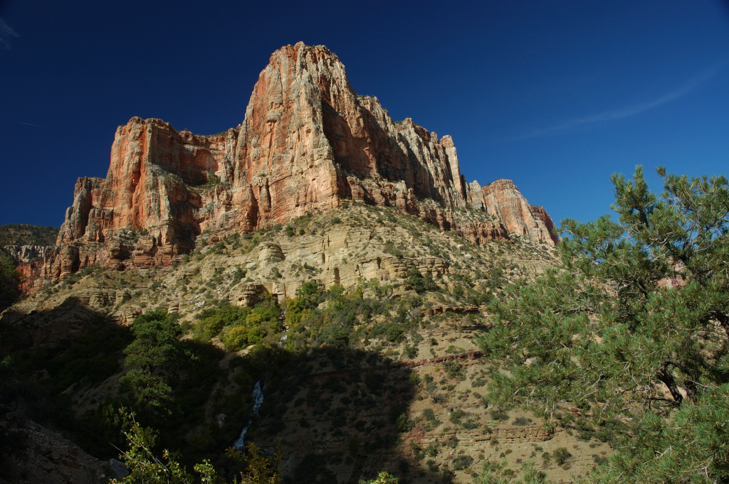 DSC_0423.JPG