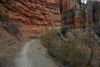 DSC_0440.JPG
