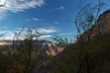 DSC_0470.JPG