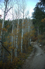 DSC_0482.JPG