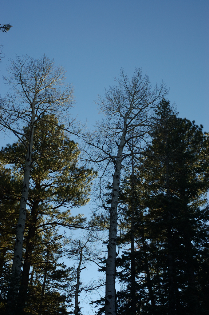 DSC_0494.JPG