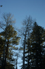DSC_0494.JPG