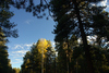 DSC_0501.JPG