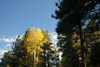 DSC_0502.JPG