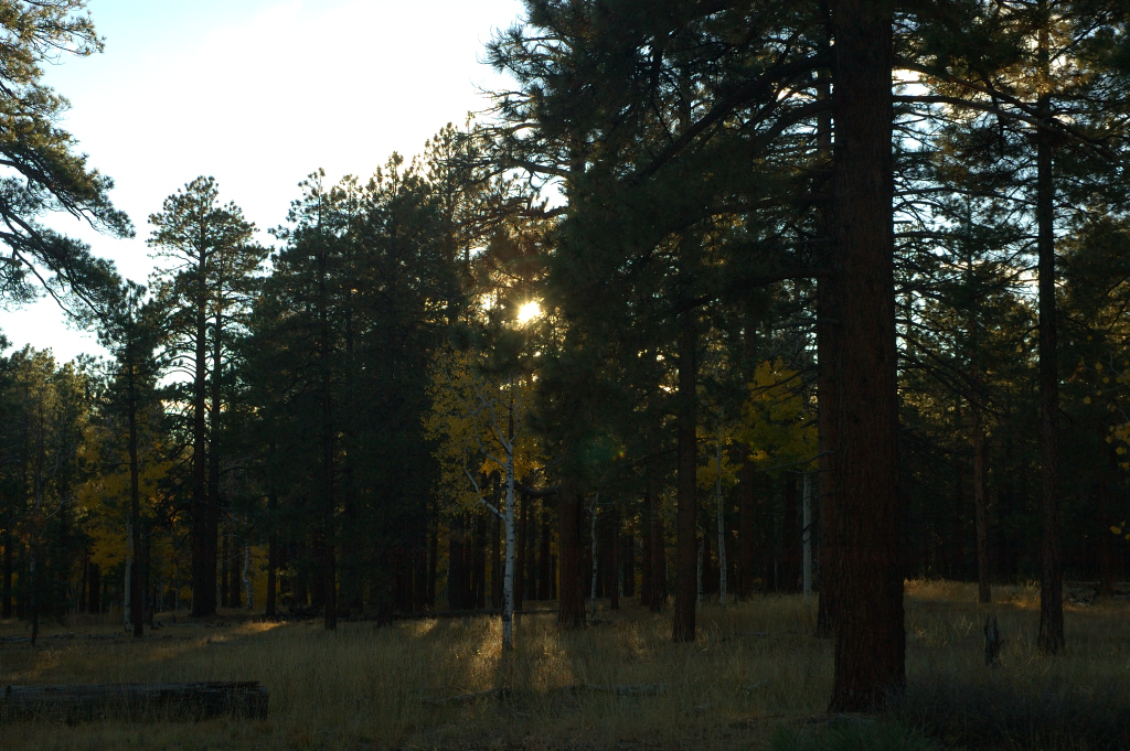 DSC_0507.JPG