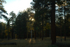 DSC_0507.JPG