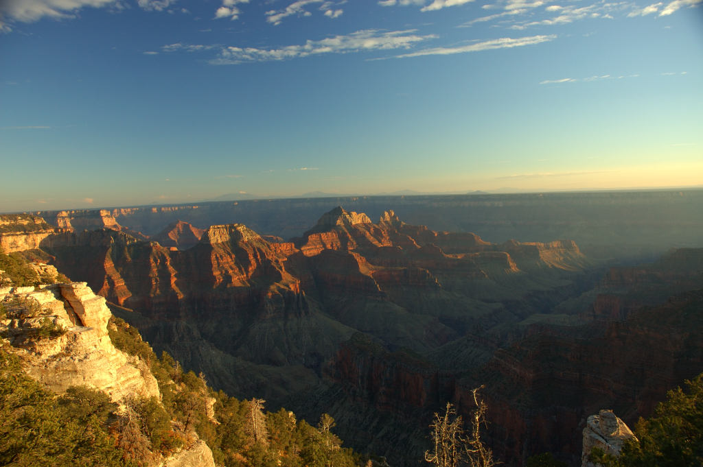 DSC_0512.JPG
