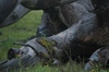 2009-04-09_15-39-15_DSC_0081.jpg