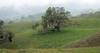 2009-04-09_15-40-37_DSC_0060.jpg