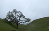 2009-04-09_15-46-15_DSC_0066.jpg