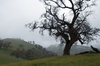 2009-04-09_15-52-00_DSC_0068.jpg