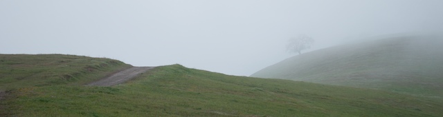 2009-04-09_15-56-57_DSC_0069.jpg