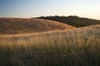 2010-06-16_20-15-44_DSC_0153.jpg