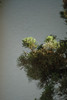 2009-03-17_09-42-54_DSC_0016.JPG