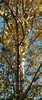 DSC_00010032.JPG