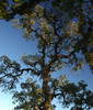 DSC_00010049.JPG