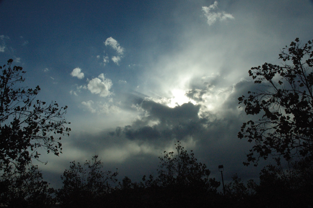 DSC_00020036.JPG