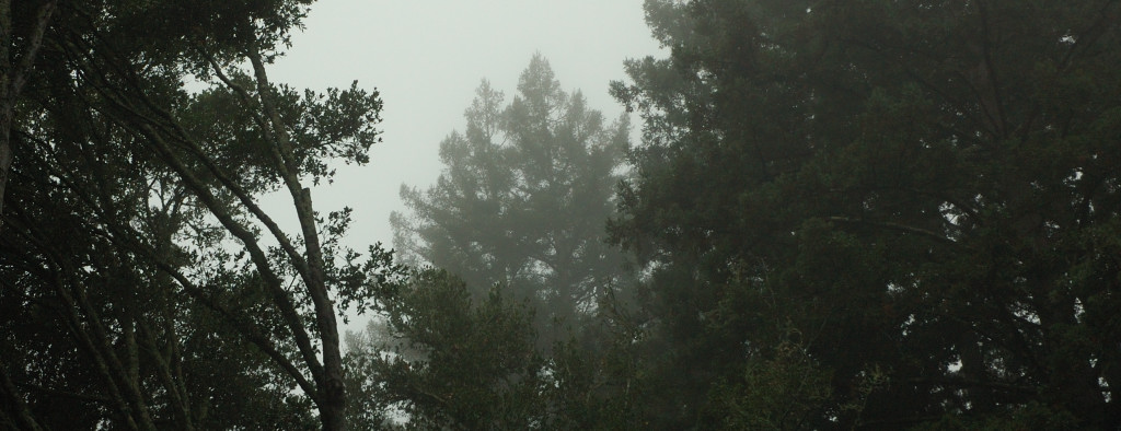 DSC_00050031.JPG