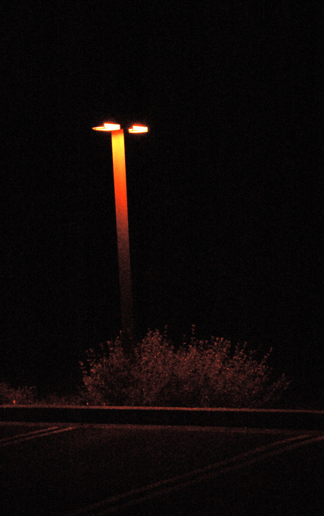 DSC_00060033.JPG