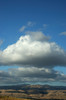 DSC_00060050.JPG