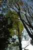 DSC_00140081.JPG