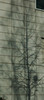 DSC_00160087.JPG