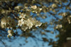 DSC_00220085.JPG