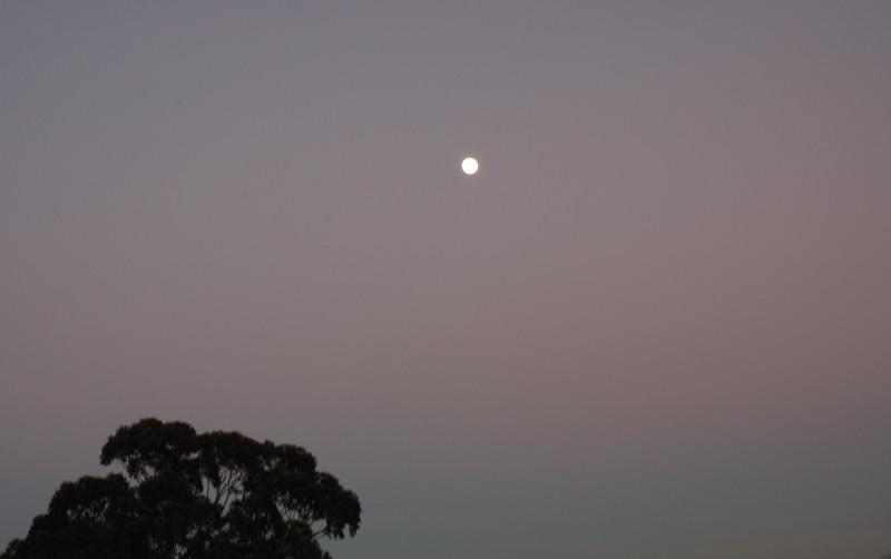 DSC_00410080.JPG