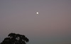DSC_00410080.JPG