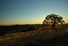 DSC_00450051.JPG