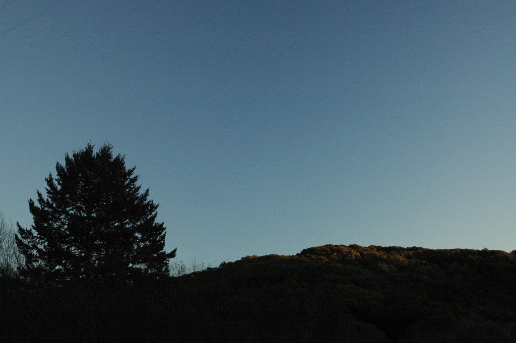DSC_00560040.JPG