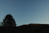 DSC_00560040.JPG