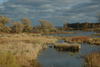 2006-10-26DSC_0023.JPG