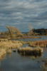 2006-10-26DSC_0027.JPG