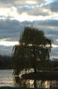 2006-10-26DSC_0039.JPG