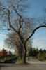 2006-10-27DSC_0011.JPG