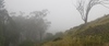 2010-06-06_08-19-05_DSC_0076.jpg
