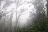 2010-06-06_08-27-46_DSC_0083.jpg
