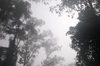 2010-06-06_08-28-36_DSC_0086.jpg