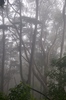 2010-06-06_08-29-39_DSC_0087.jpg