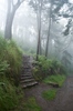 2010-06-06_08-32-06_DSC_0092.jpg