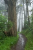 2010-06-06_08-33-52_DSC_0094.jpg