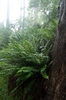 2010-06-06_08-34-29_DSC_0095.jpg