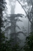 2010-06-06_08-37-52_DSC_0096.jpg