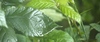 2010-06-06_09-28-39_DSC_0062.jpg