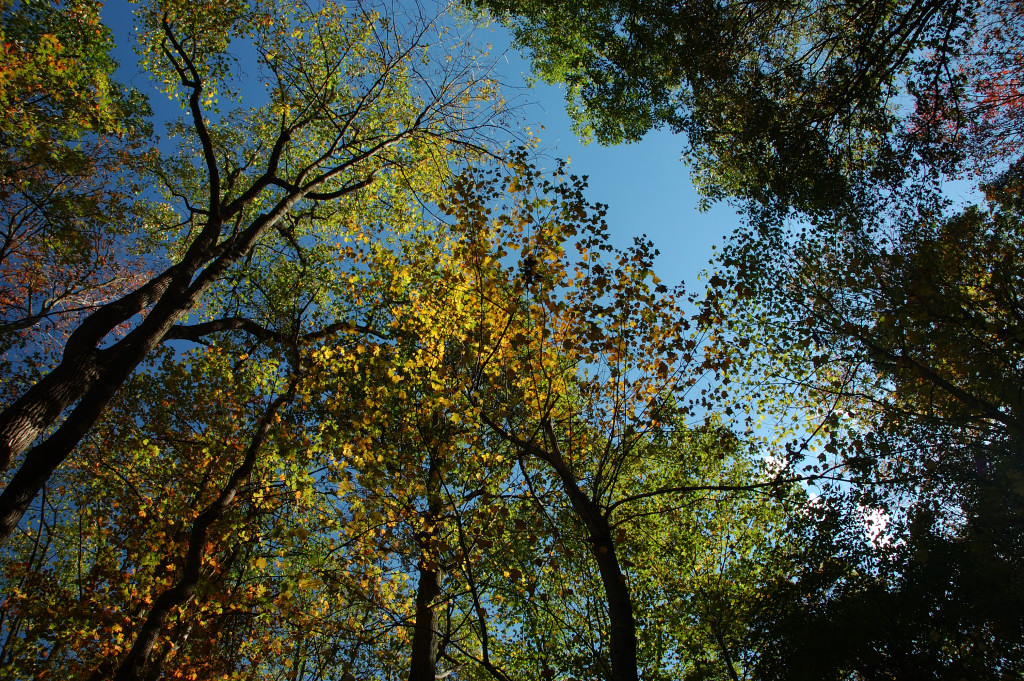 DSC_00040017.JPG