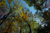 DSC_00040017.JPG